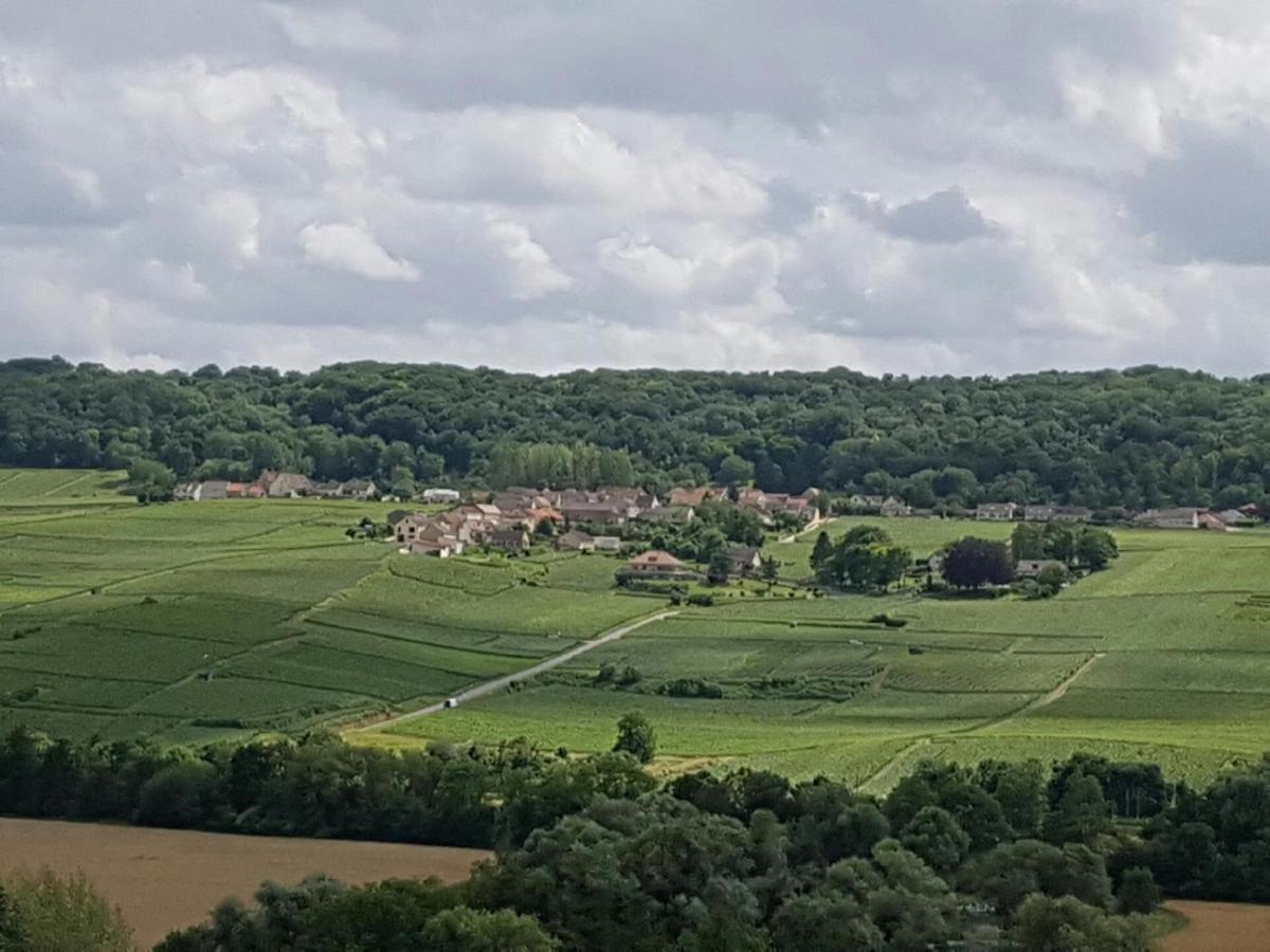 Le Domaine De L Etang Le Merger Oeuilly Eksteriør billede